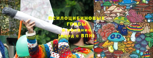 2c-b Верея