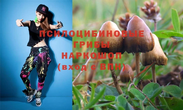 дурь Верхний Тагил