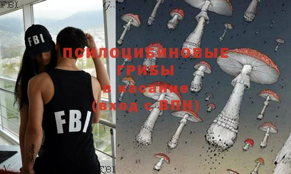 2c-b Верея